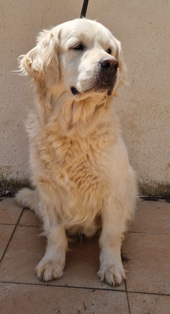 Publication : Des terres sacrees Auteur : Christelle Woivre