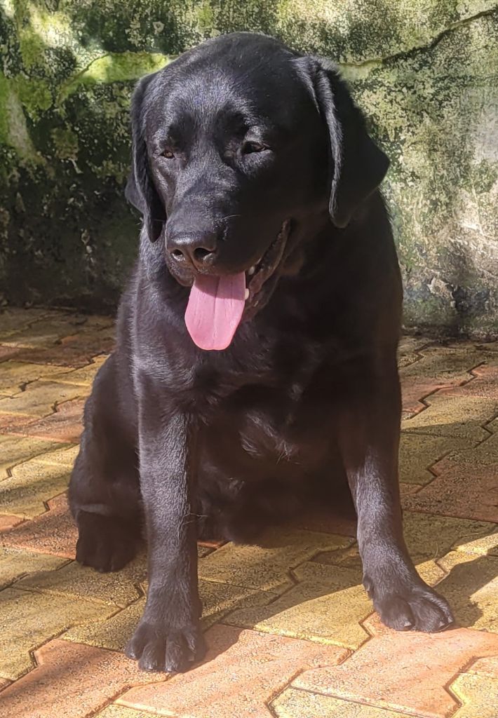 Publication : Des terres sacrees Auteur : CHRISTELLE WOIVRE