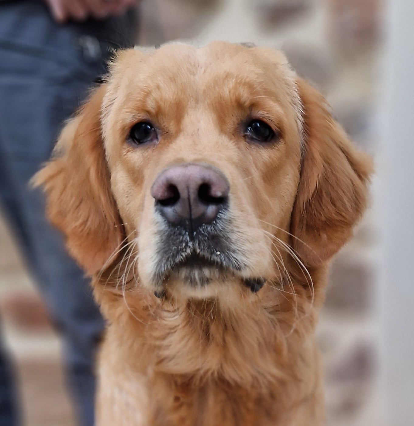 Publication : Des terres sacrees Auteur : Christelle Woivre