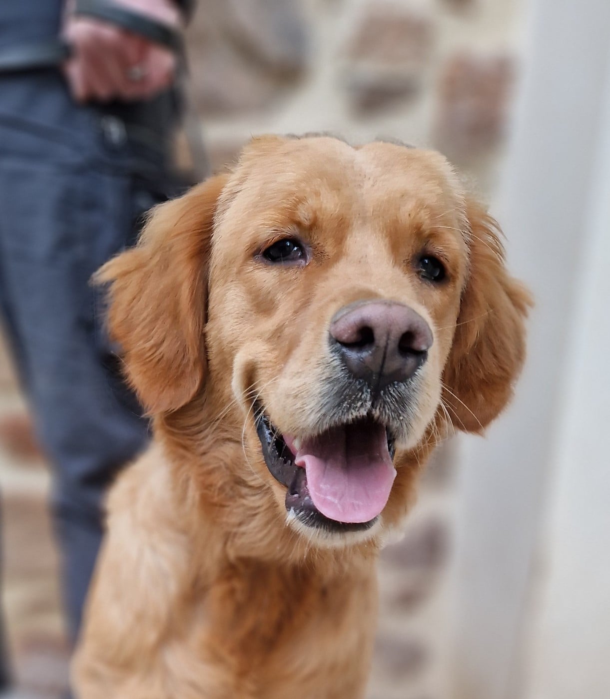 Publication : Des terres sacrees Auteur : Christelle Woivre