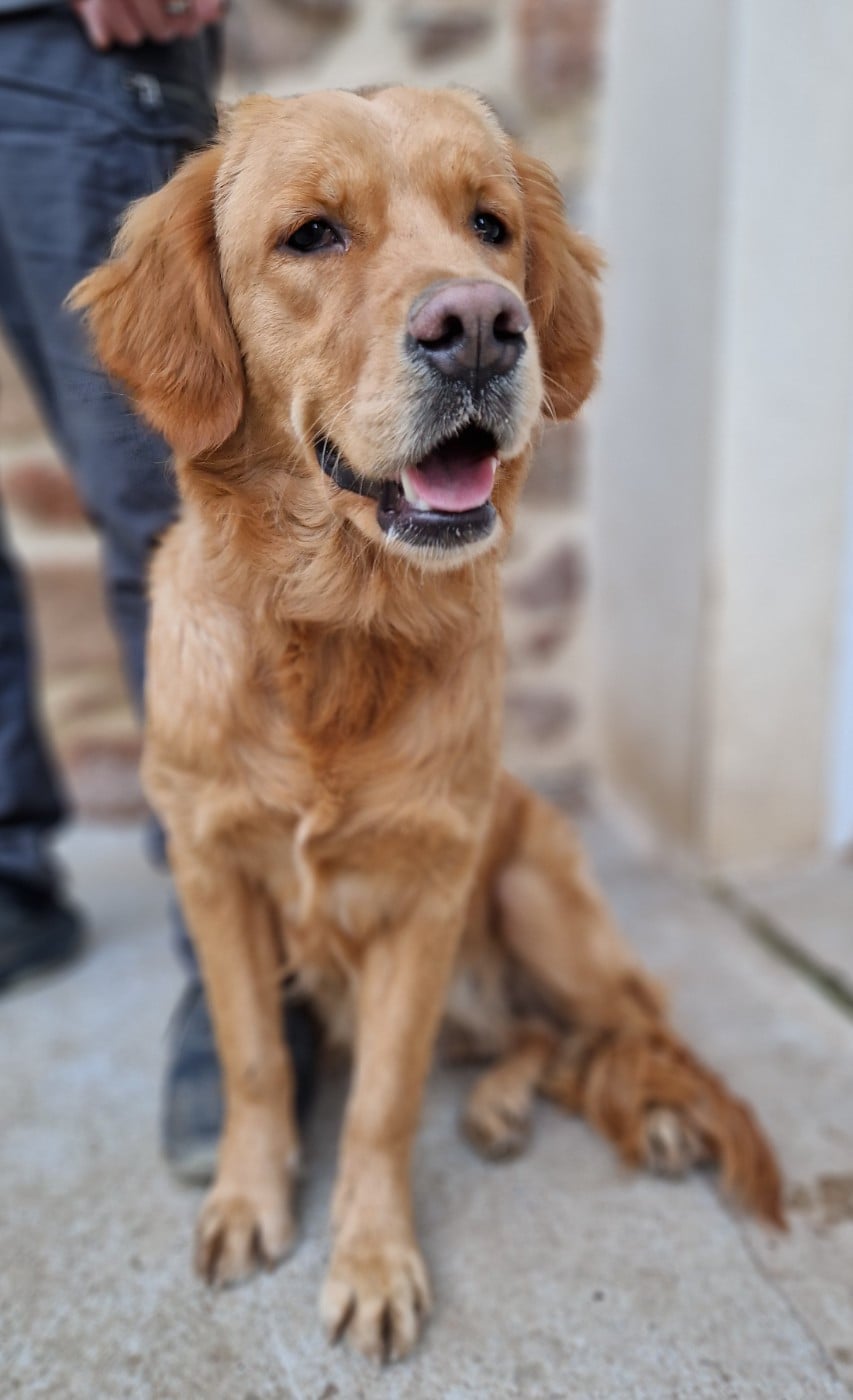 Publication : Des terres sacrees Auteur : Christelle Woivre