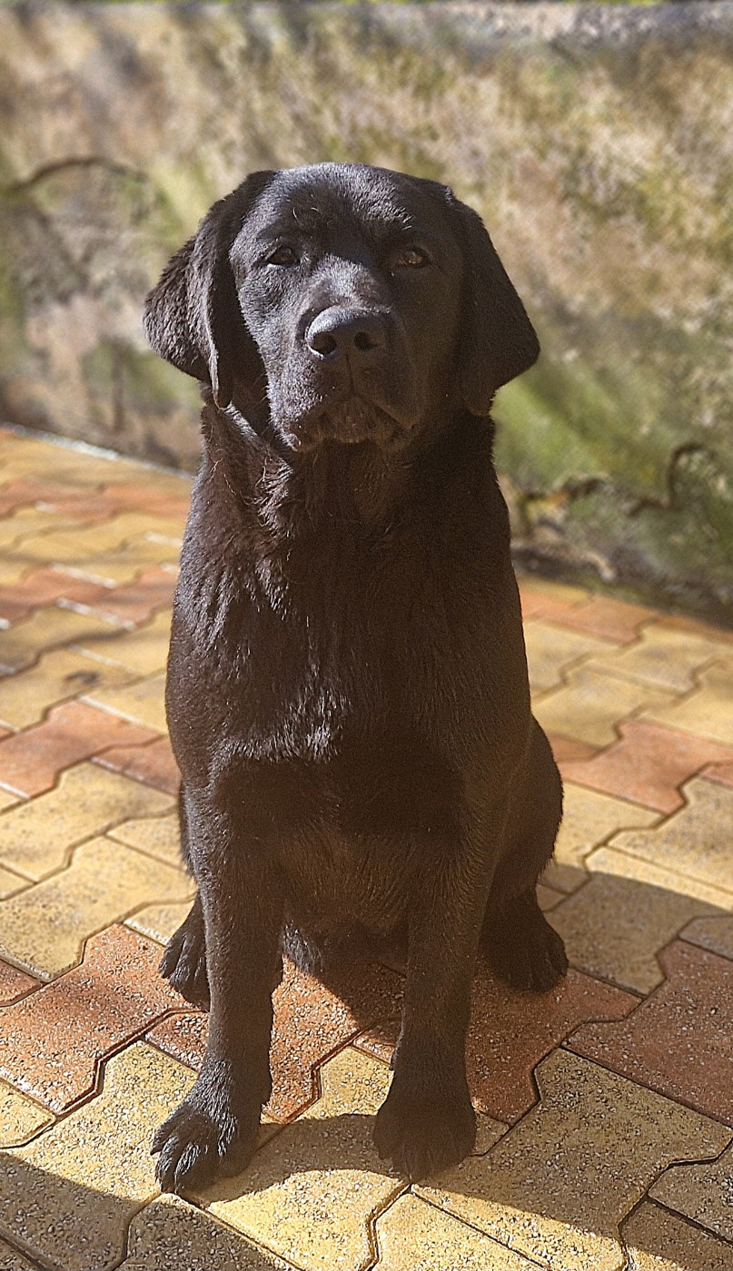 AKATSUKI NO YONA Des terres sacrees