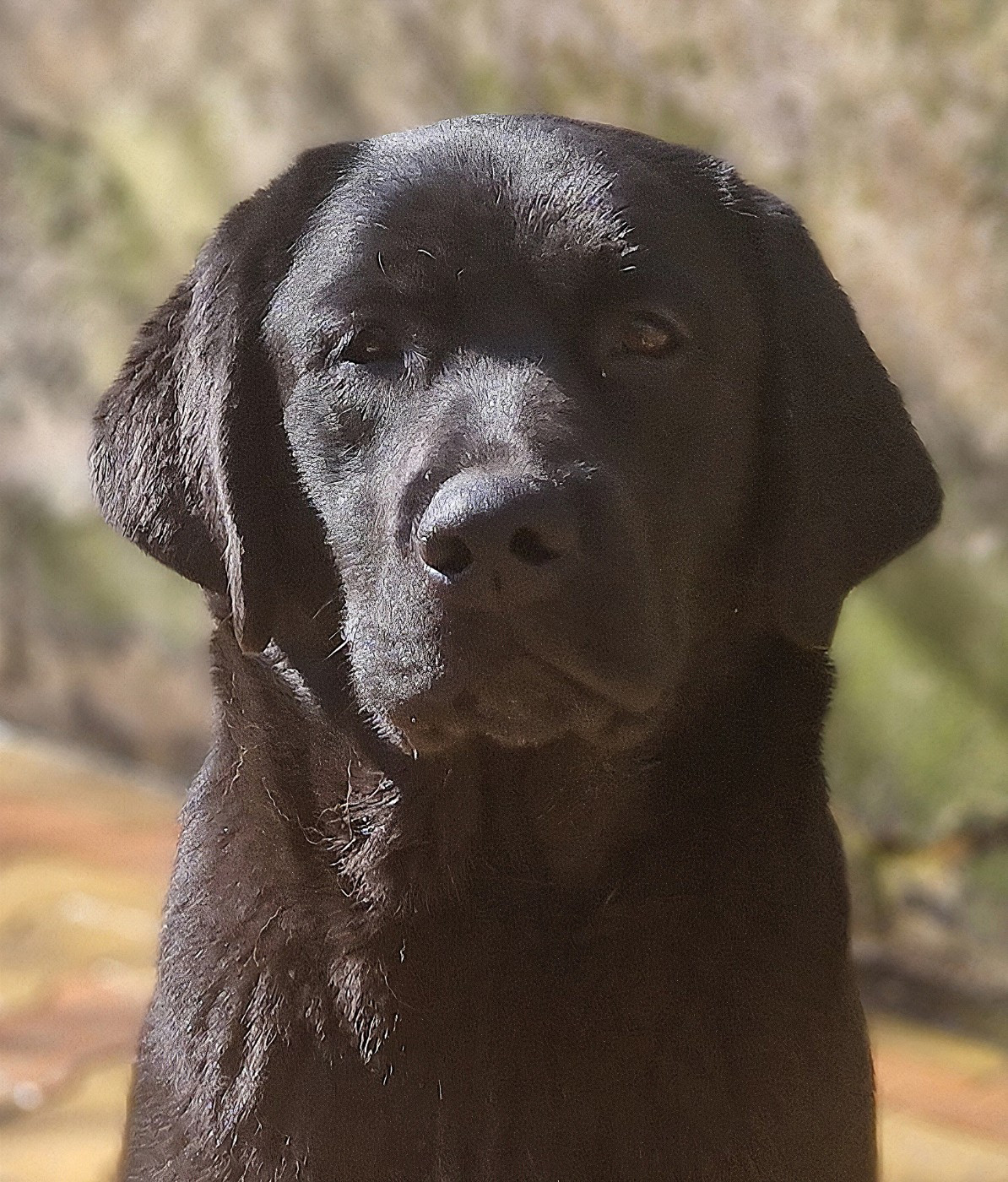 AKATSUKI NO YONA Des terres sacrees