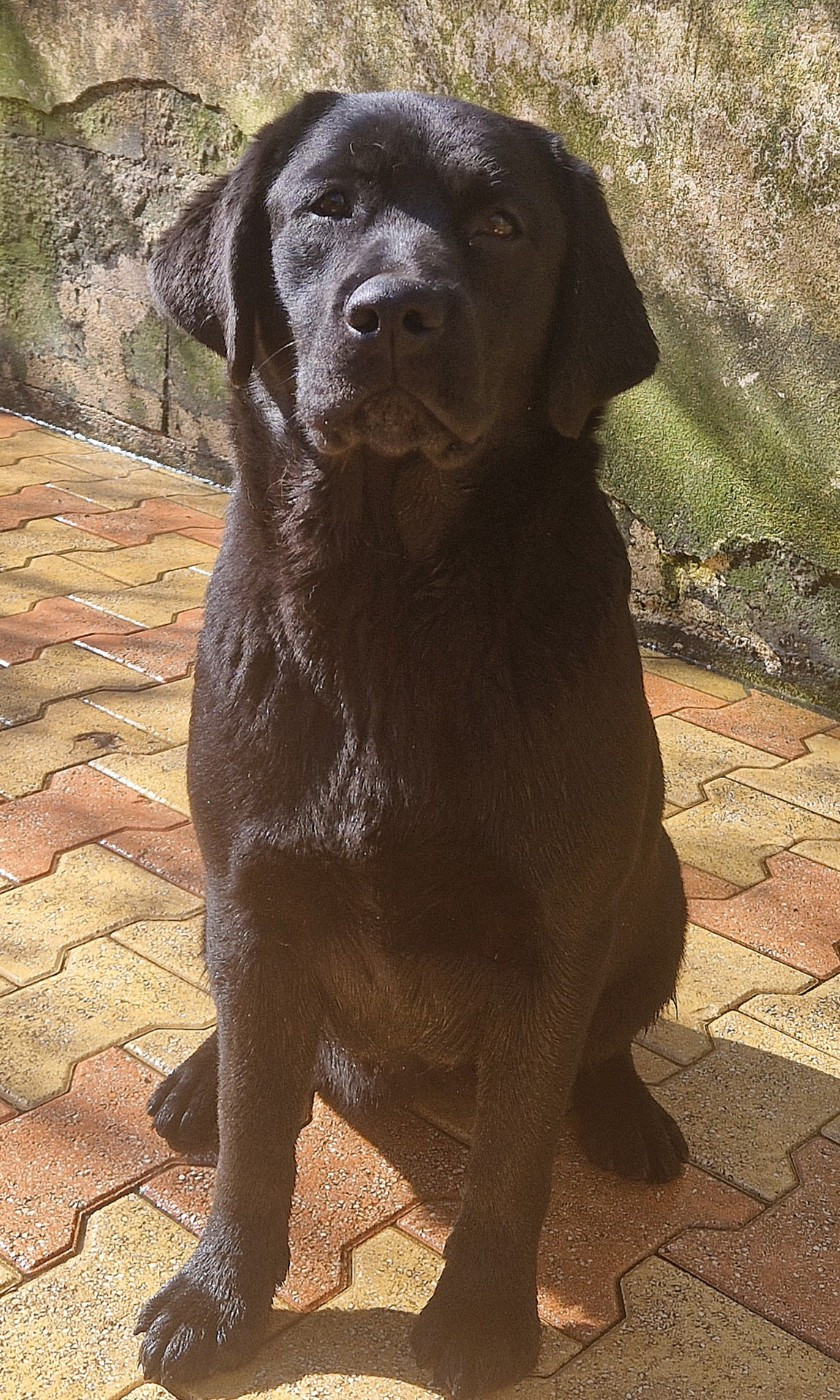 AKATSUKI NO YONA Des terres sacrees