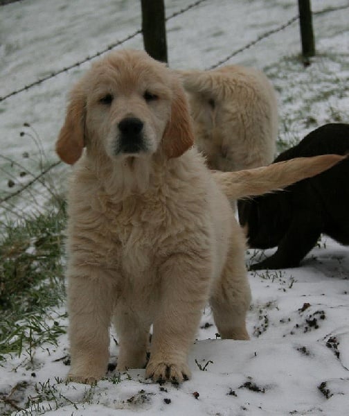 Publication : Des terres sacrees Auteur : woivre christelle