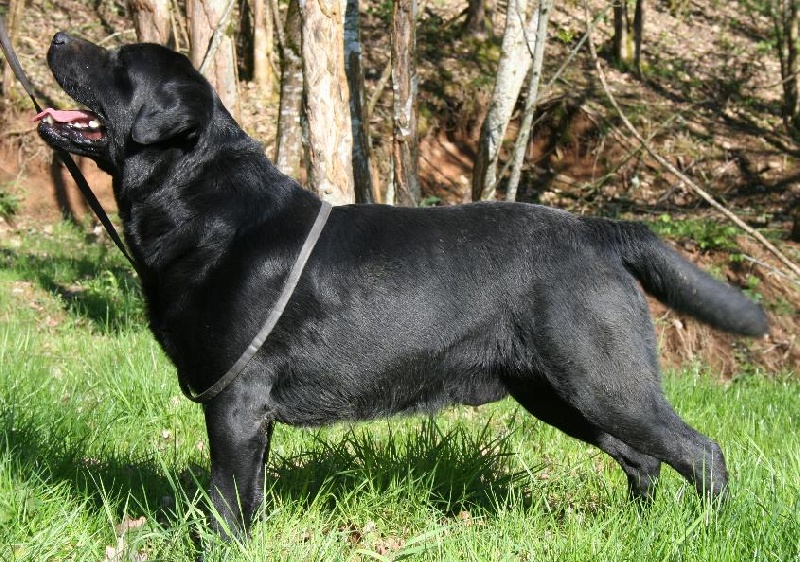 Publication : Des terres sacrees Auteur : christelle woivre