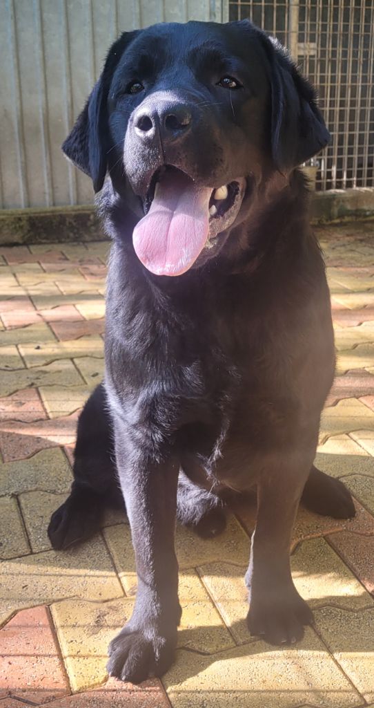 Publication : Des terres sacrees Auteur : CHRISTELLE WOIVRE