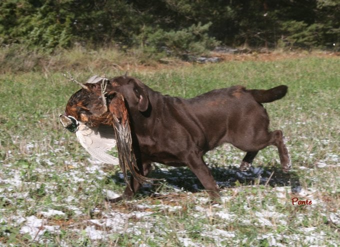 Publication : Des terres sacrees Auteur : christelle woivre