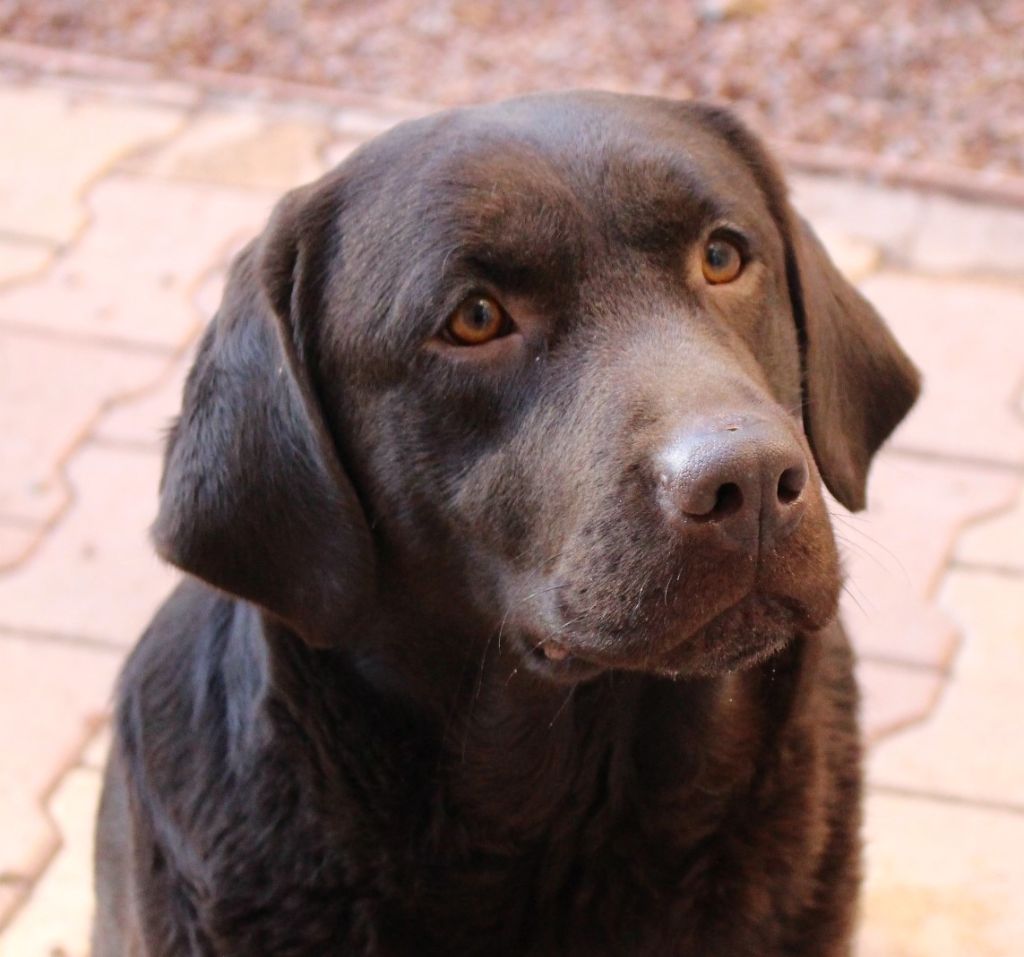 Publication : Des terres sacrees Auteur : Christelle Woivre