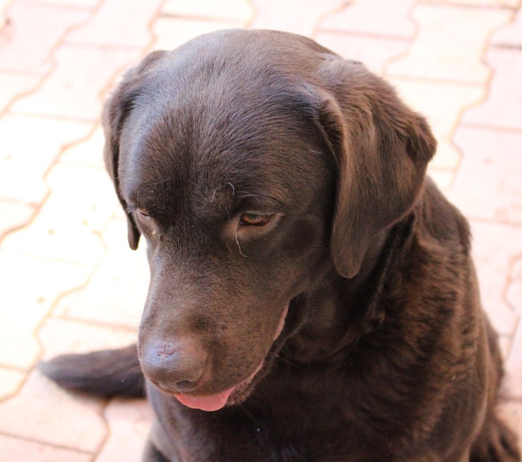 Publication : Des terres sacrees Auteur : Christelle Woivre