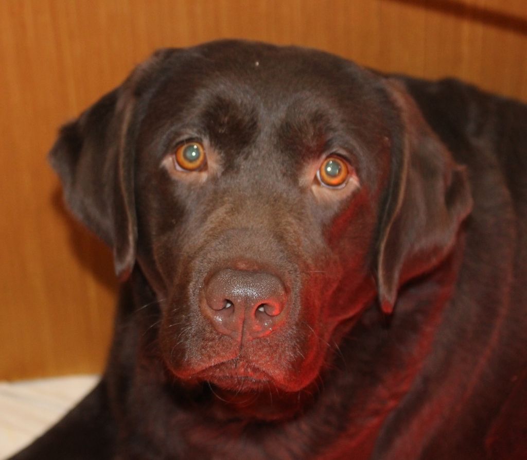 Publication : Des terres sacrees Auteur : Christelle Woivre