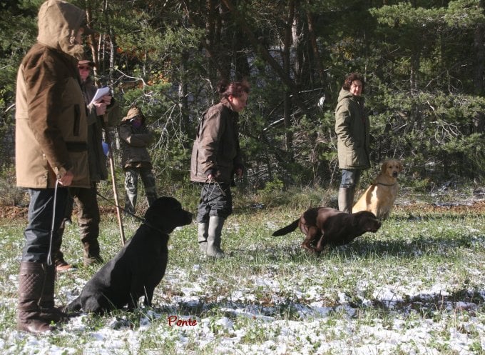 Publication : Des terres sacrees Auteur : christelle woivre