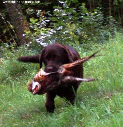 Publication : Des terres sacrees Auteur : woivre christelle