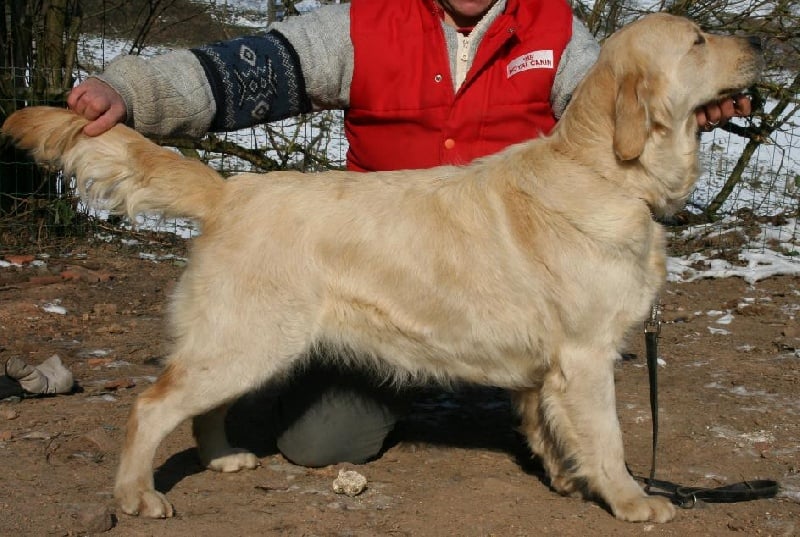 Publication : Des terres sacrees Auteur : woivre christelle