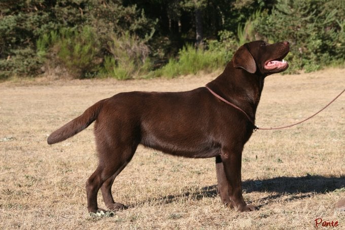 Publication : Des terres sacrees Auteur : christelle woivre