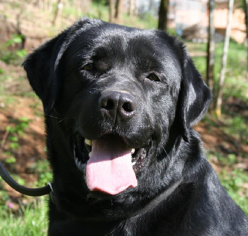 Publication : Des terres sacrees Auteur : christelle woivre