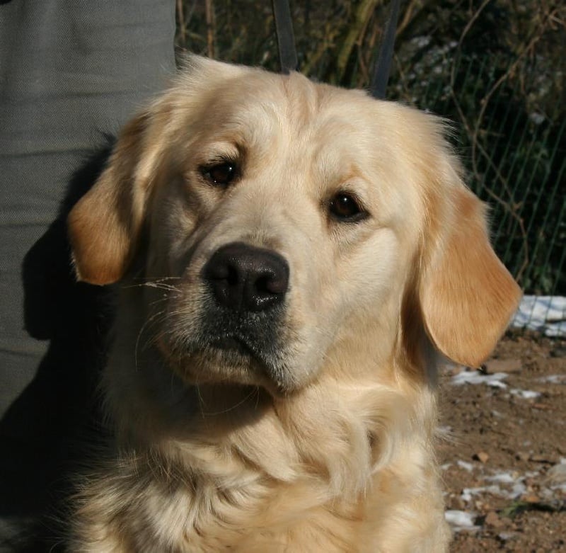 Publication : Des terres sacrees Auteur : woivre christelle