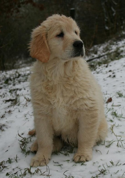 Publication : Des terres sacrees Auteur : woivre christelle