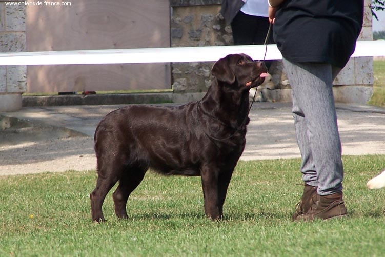 Publication : Des terres sacrees Auteur : woivre christelle