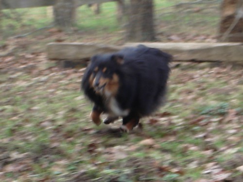 Publication : des Bordes Rouges