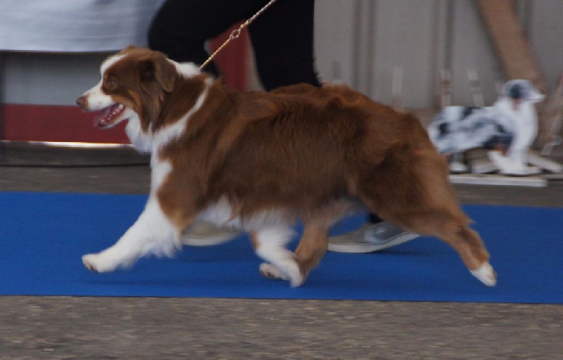 Publication : de l'Orée des charmois