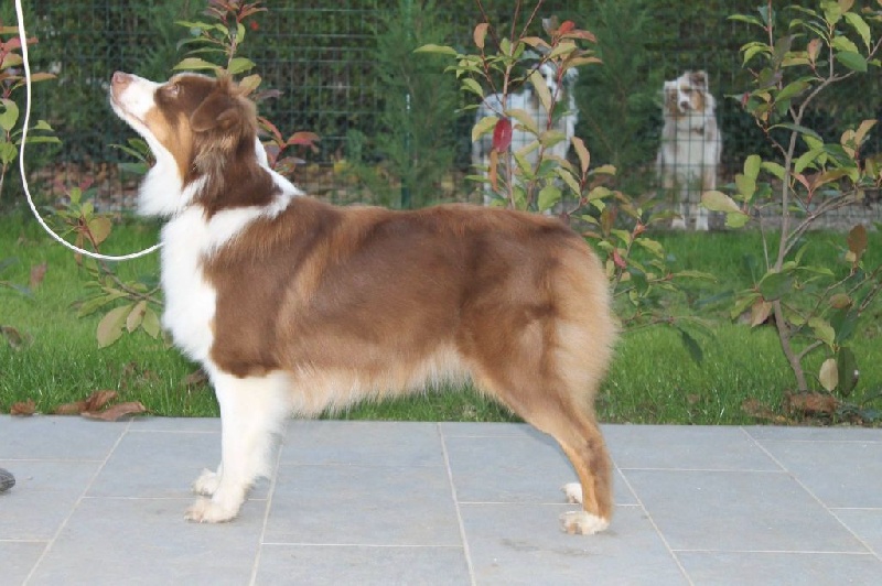 Publication : de l'Orée des charmois