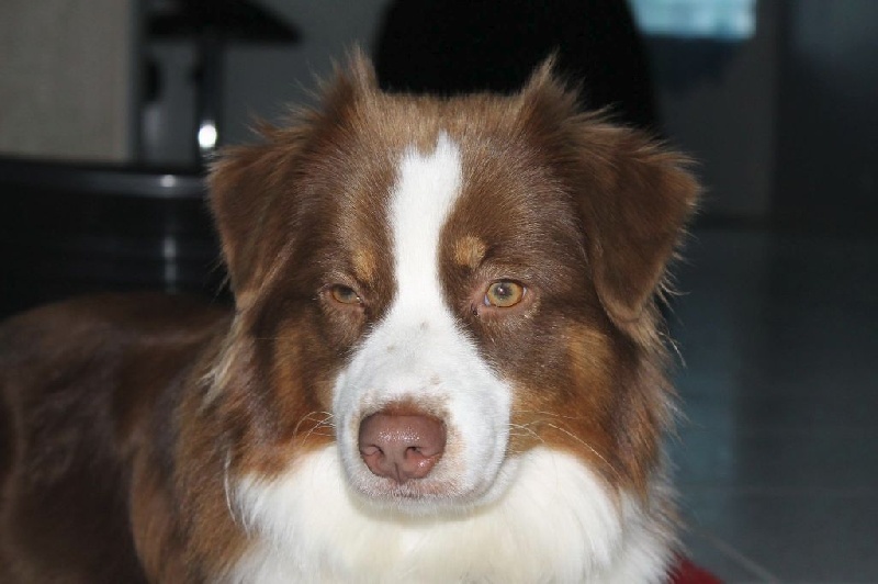 Publication : de l'Orée des charmois