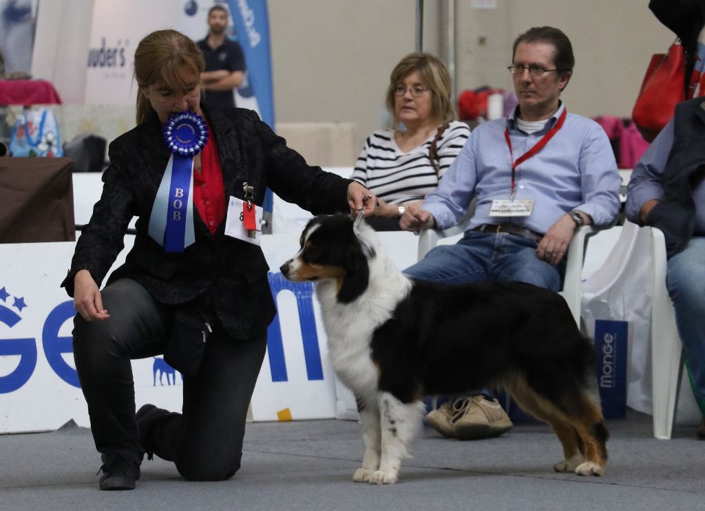 CH. Jungle book bagheera des minis toon's