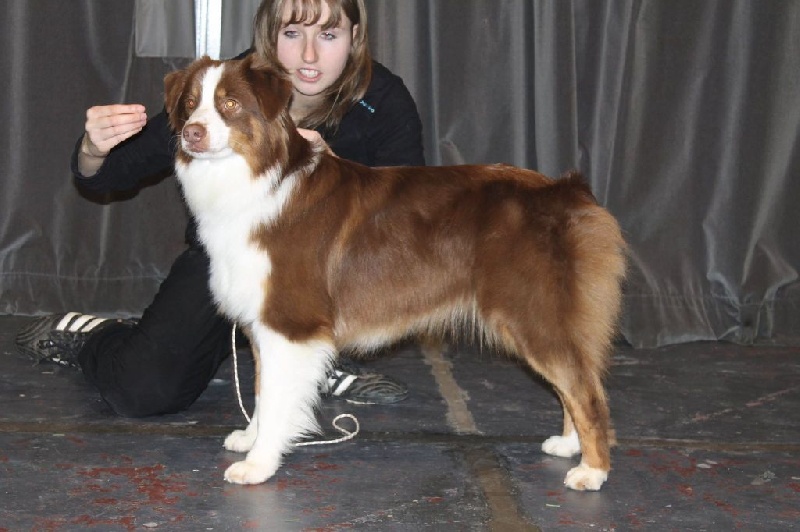 Publication : de l'Orée des charmois