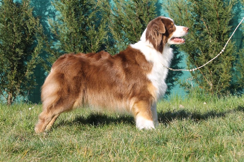 Publication : de l'Orée des charmois