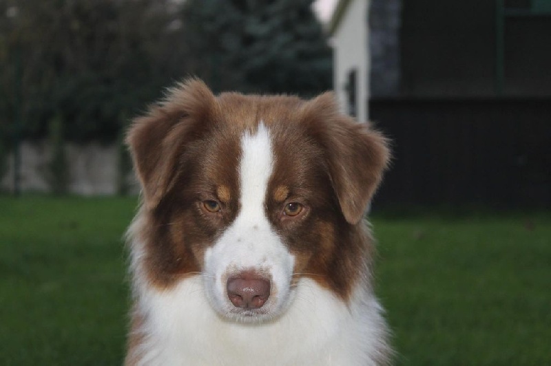 Publication : de l'Orée des charmois