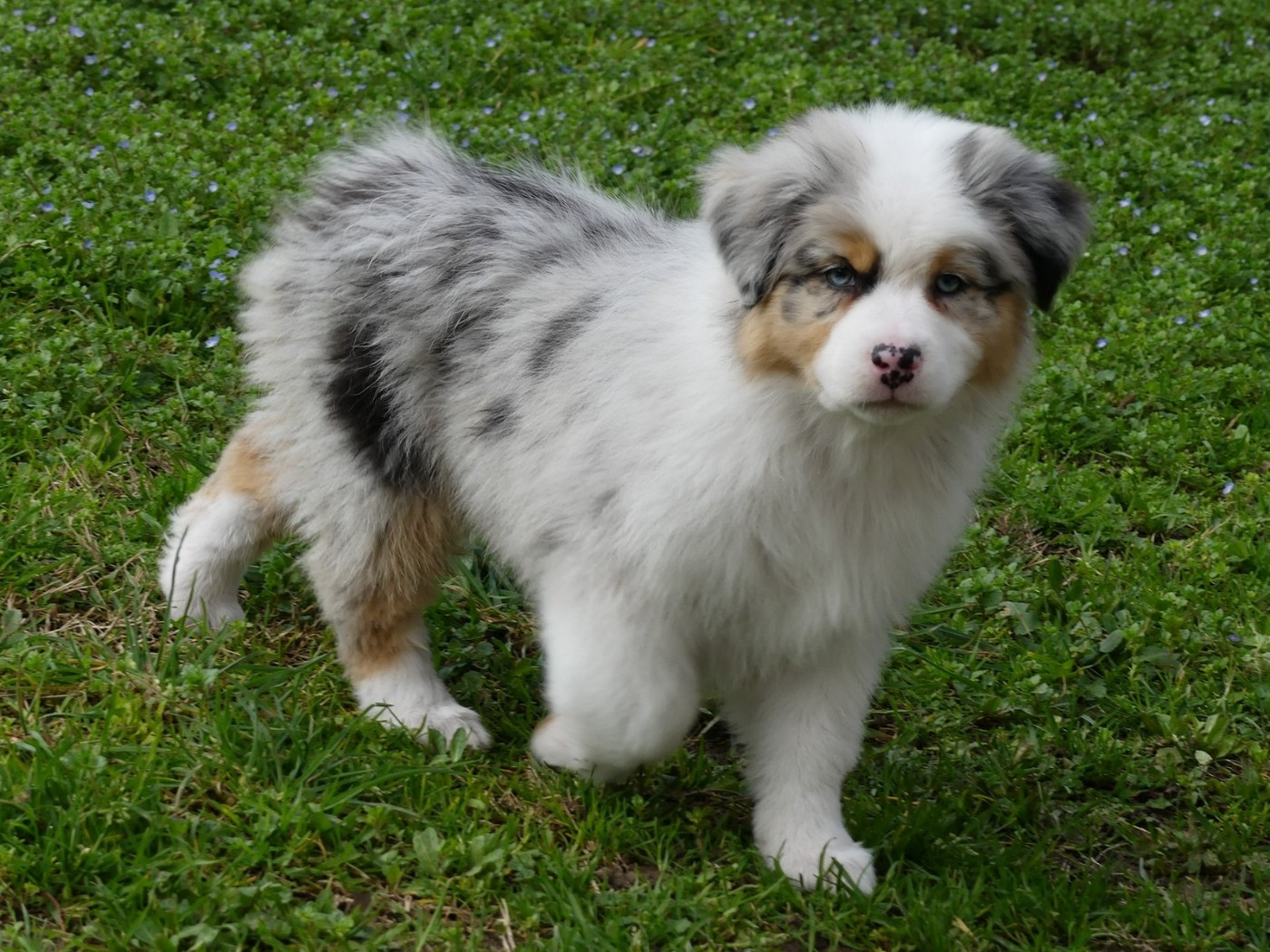 Arendelle Kingdom Frozen