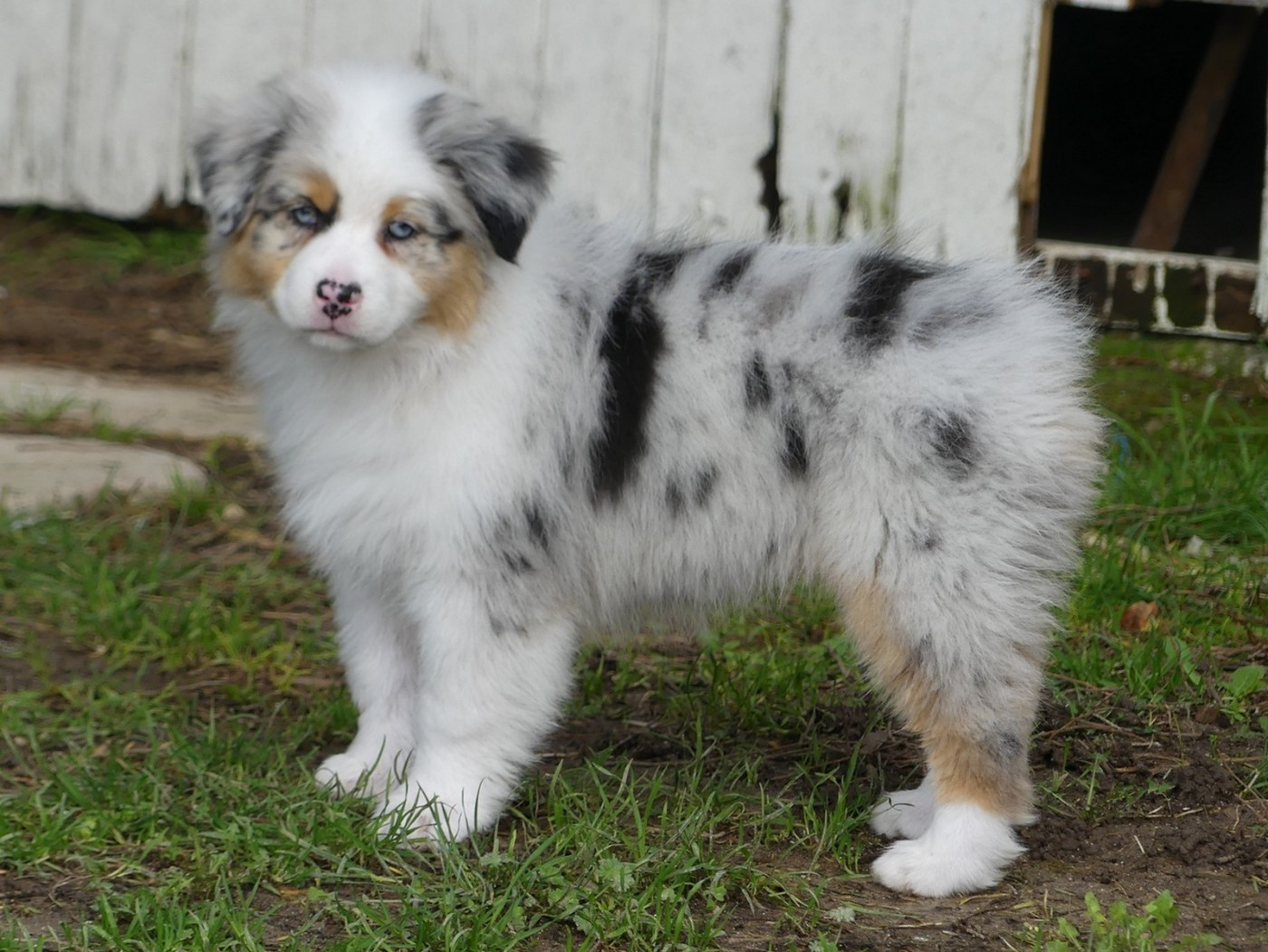 Arendelle Kingdom Frozen