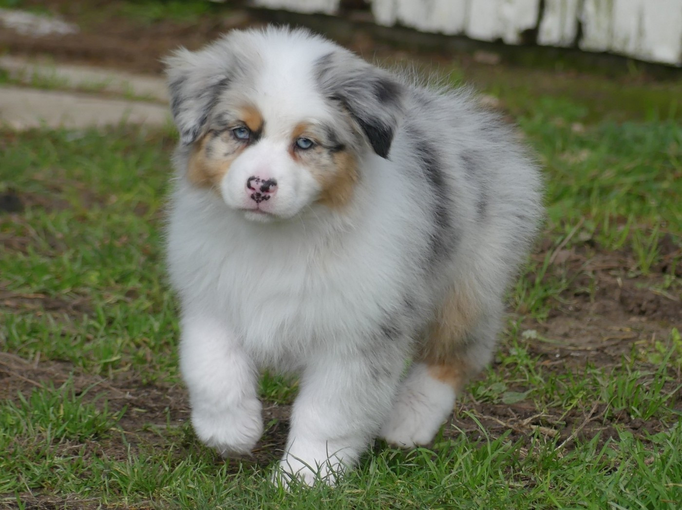 Arendelle Kingdom Frozen