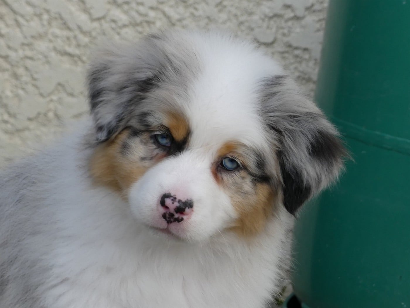 Arendelle Kingdom Frozen