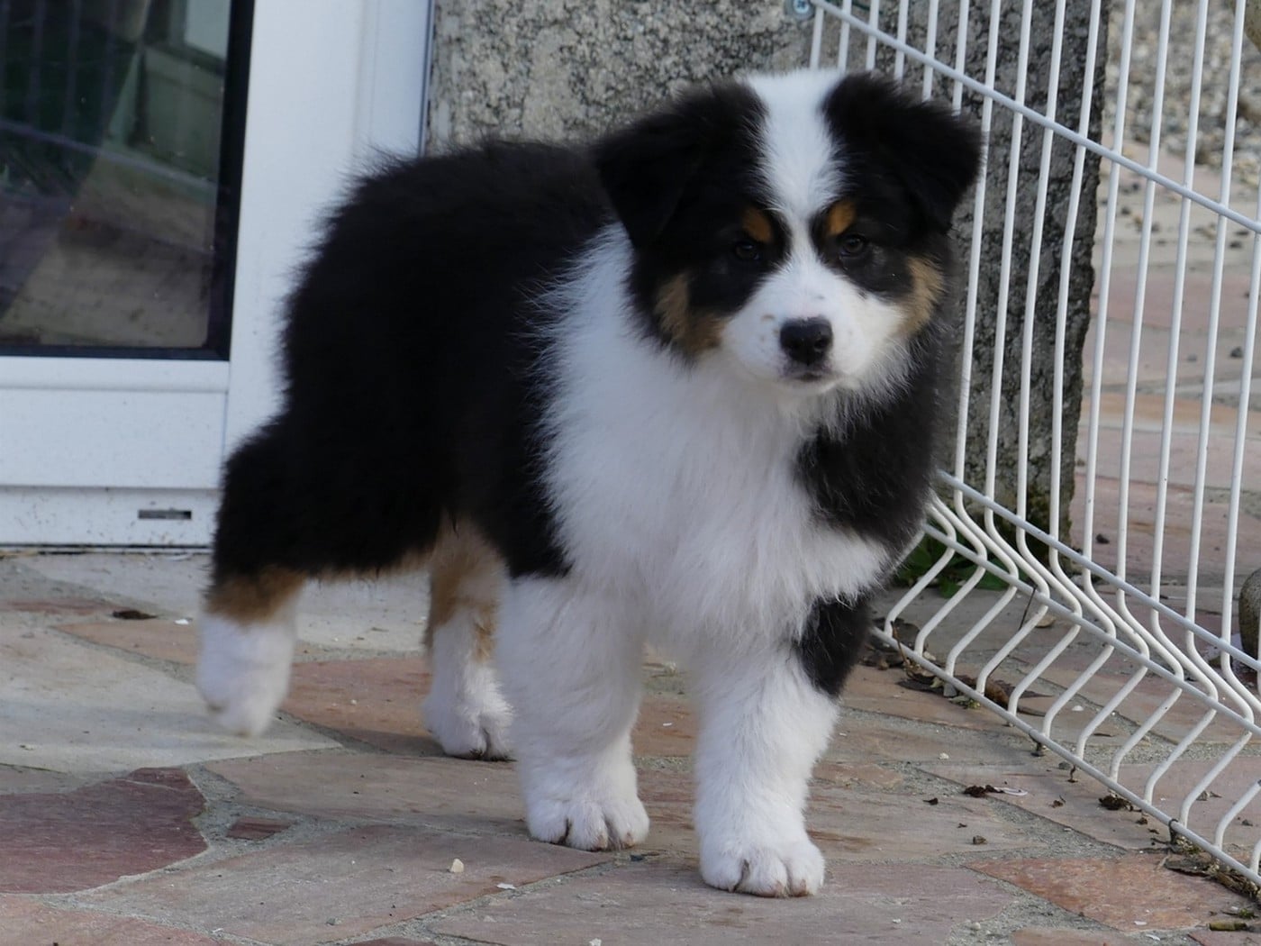 Arendelle Kingdom Anna