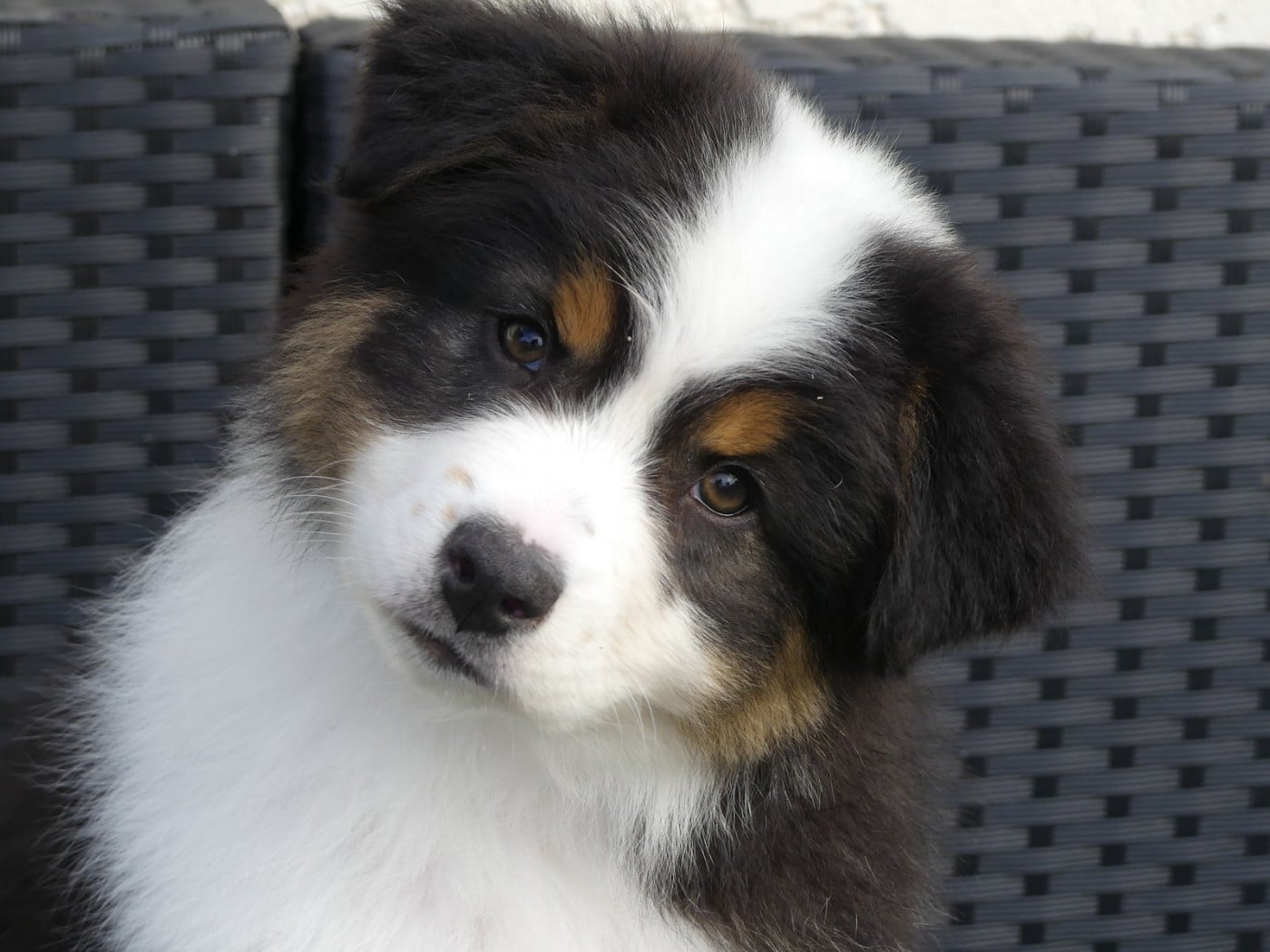 Arendelle Kingdom Anna