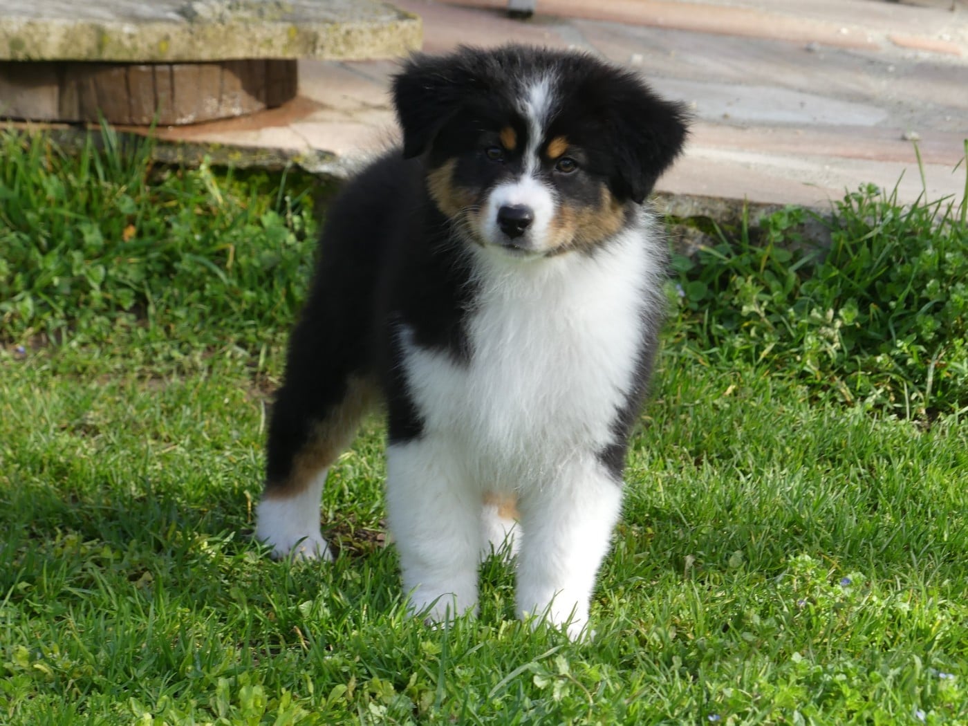 Arendelle Kingdom Queen Iduna