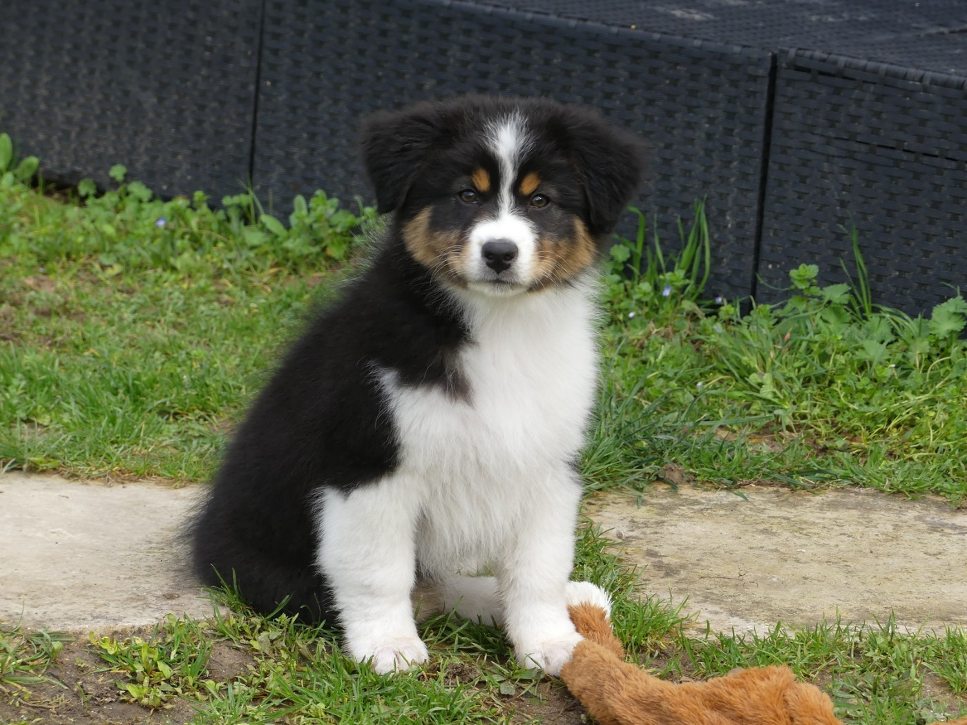 Arendelle Kingdom Queen Iduna