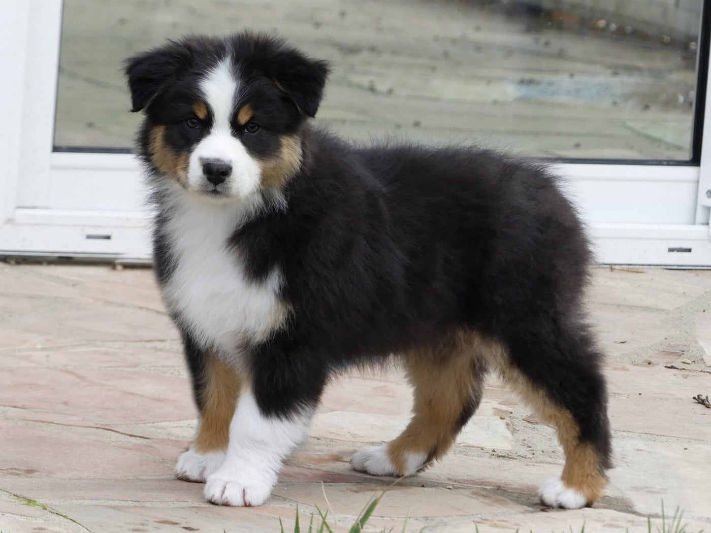 Arendelle Kingdom Yelana