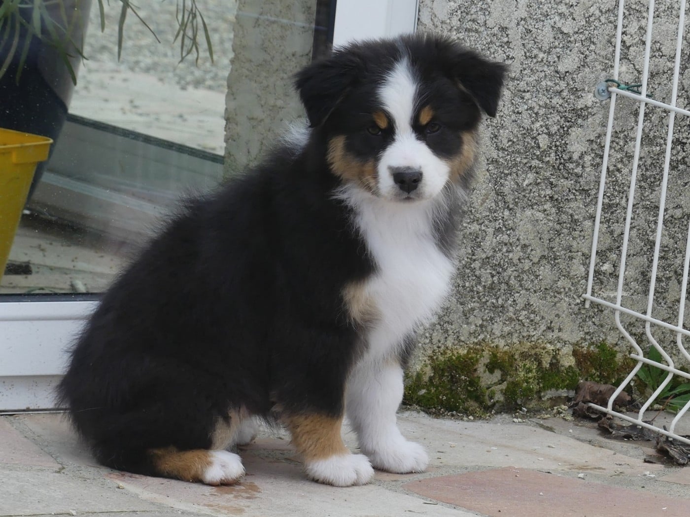 Arendelle Kingdom Yelana