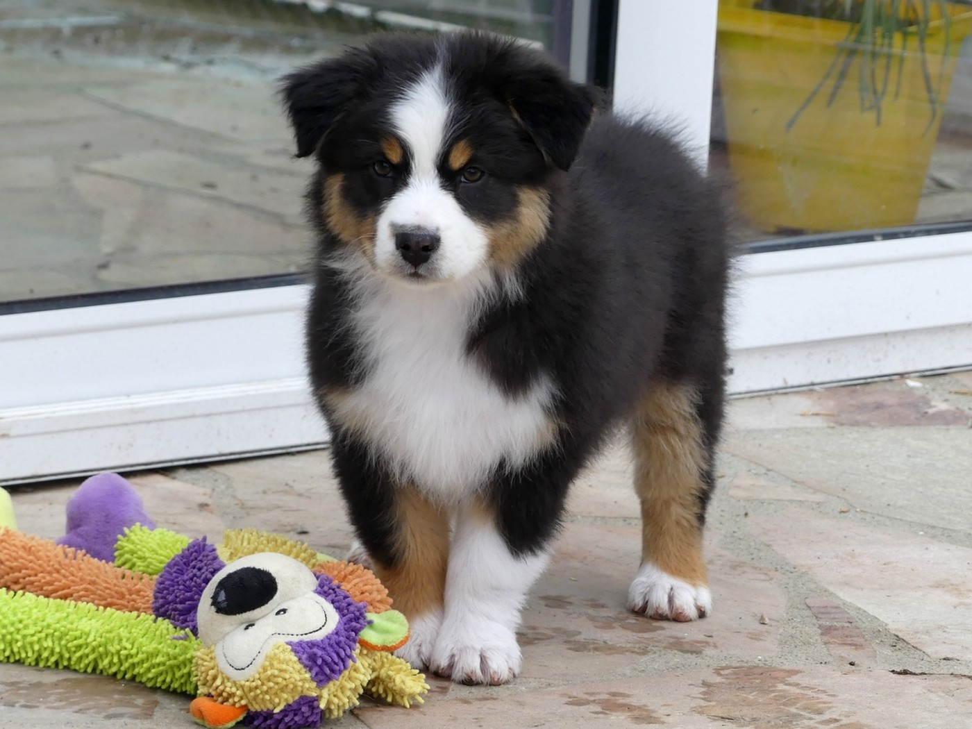 Arendelle Kingdom Yelana