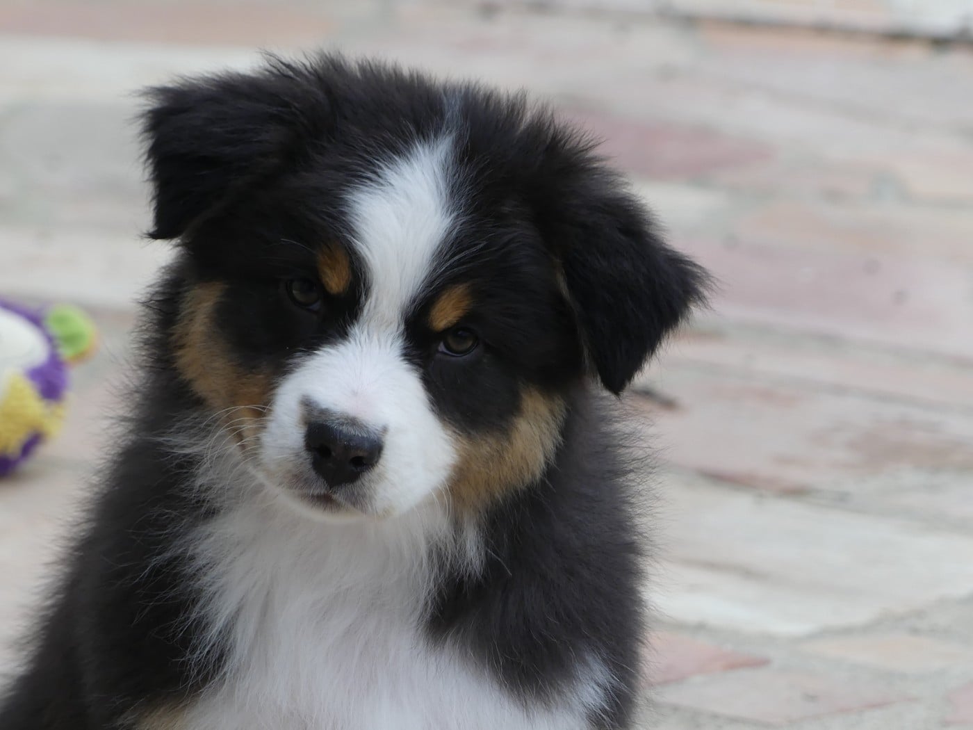 Arendelle Kingdom Yelana