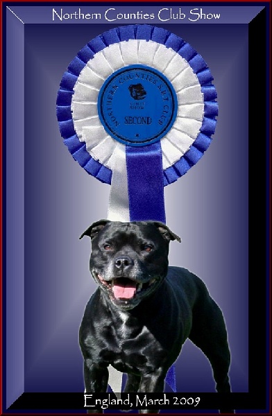 kylorda kynge's man - dit kyle - 2ème Exc. en Classe Limit