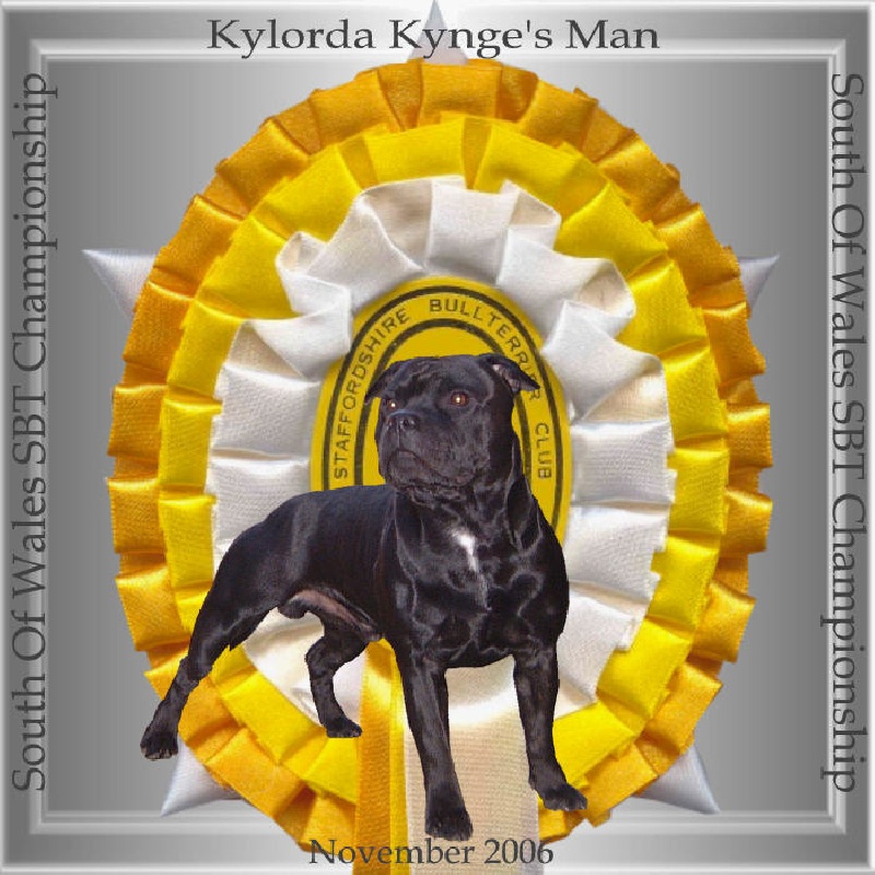 kylorda kynge's man - dit kyle - 3ème Exc.Classe Limit - KC Studbook Number & Qualifié CRUFTS