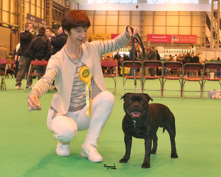 kylorda kynge's man - dit kyle - 3eme Exc. en Classe Yearling