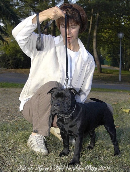 kylorda kynge's man - dit kyle - Meilleur Super Puppy Mâle