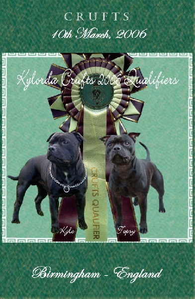 kylorda kynge's man - dit kyle - 1er Exc. Classe Jeune - Qualifié CRUFTS 2006