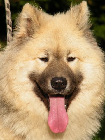 Publication : du Clos Lucy Auteur : Anita MASTROTOTARO