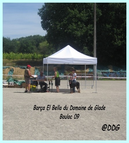 Barça el bella du Domaine de Glade - Exc en Classe Ouverte